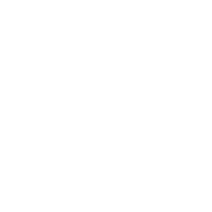 DESCUBRIENDO-EL-SUELO-PÉLVICO-Icono-Sanurart