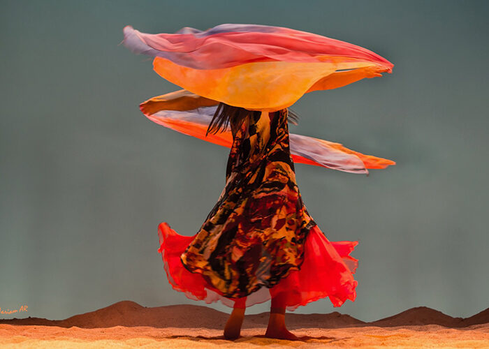 danzas-de-vida-taller-movimiento-malaga.