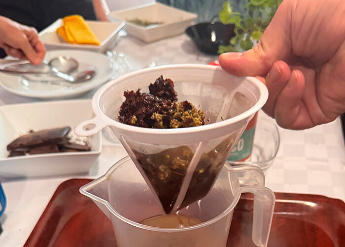 taller-plantas-medicinales-sanurart.